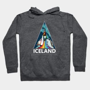 Iceland voyage 2 Hoodie